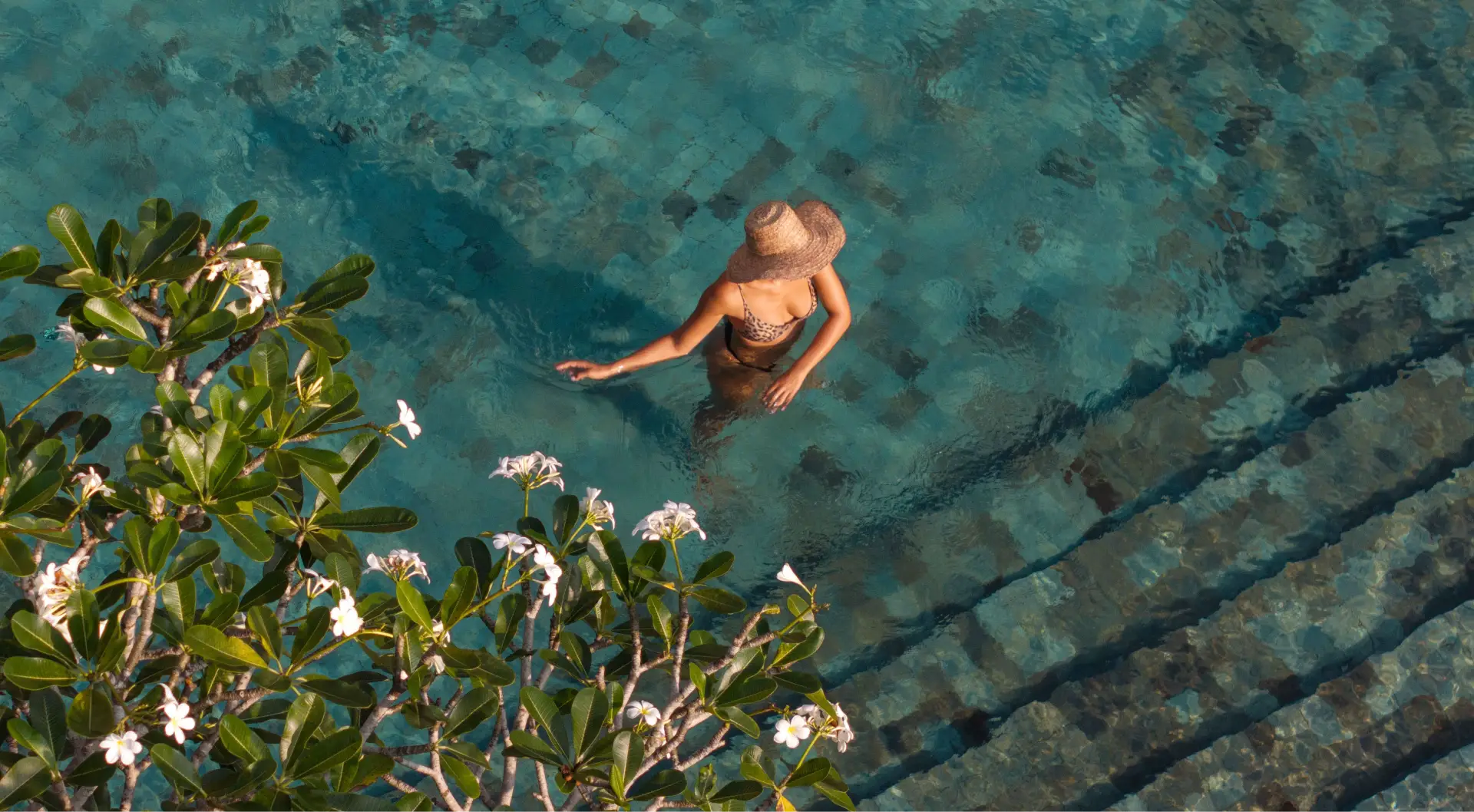 Porttitor dictum nihil adipisci lectus quisquam